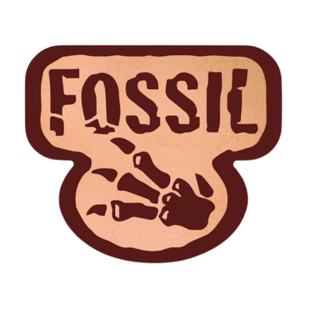 Pokemon Fossil Set 1999: 1st Edition vs Unlimited Guide